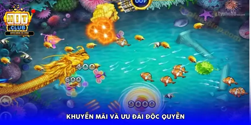Khuyến mãi và ưu đãi độc quyền Khuyến mãi và ưu đãi độc quyền
