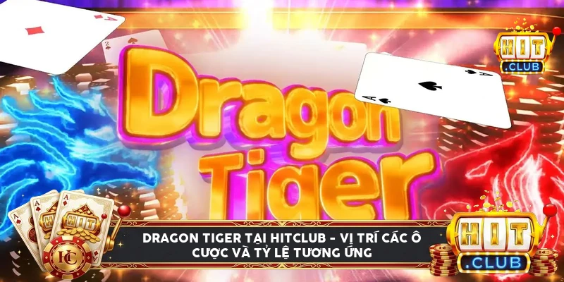 Giao diện bàn Dragon Tiger Hitclub với các ô cược và tỷ lệ