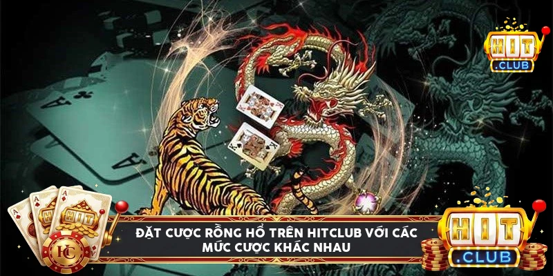 Bảng so sánh house edge và tốc độ ván giữa Dragon Tiger và Baccarat tại Hitclub